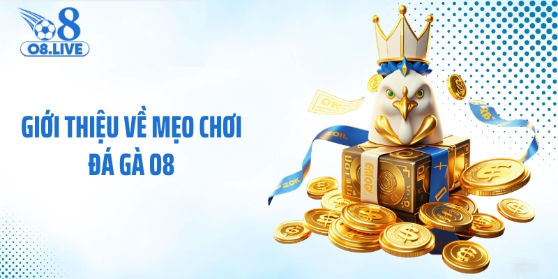 Giới thiệu về mẹo chơi đá gà O8